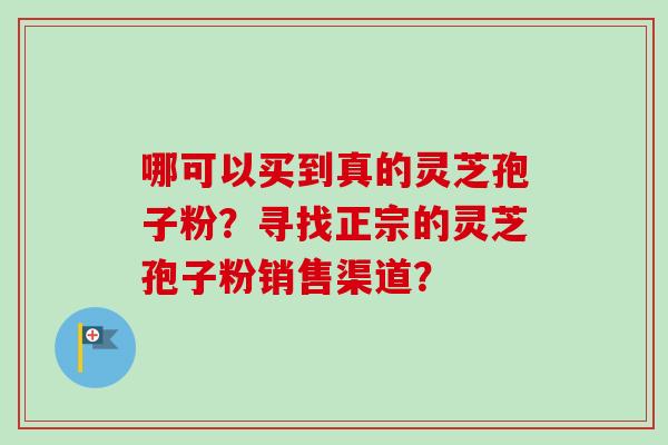 哪可以买到真的灵芝孢子粉？寻找正宗的灵芝孢子粉销售渠道？