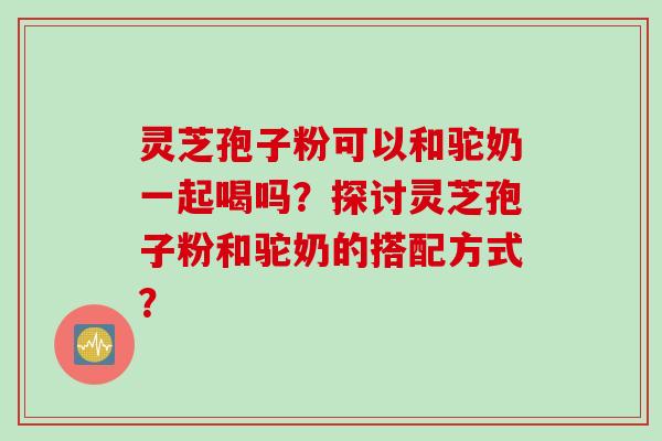 灵芝孢子粉可以和驼奶一起喝吗？探讨灵芝孢子粉和驼奶的搭配方式？