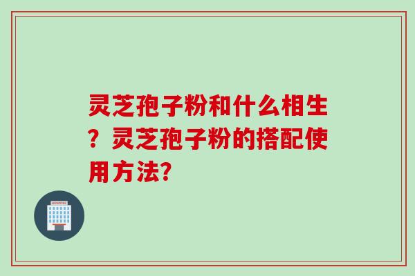 灵芝孢子粉和什么相生？灵芝孢子粉的搭配使用方法？