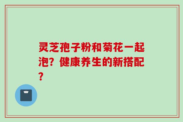 灵芝孢子粉和菊花一起泡？健康养生的新搭配？