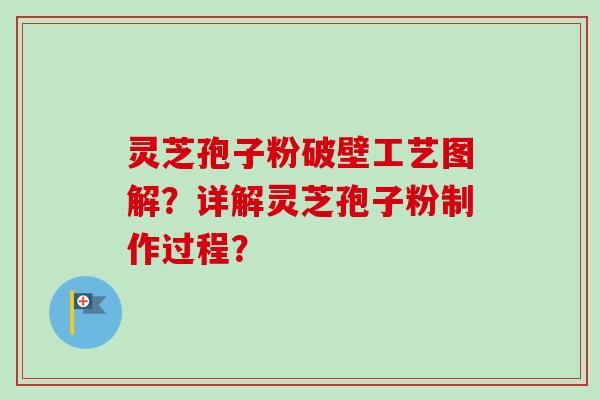 灵芝孢子粉破壁工艺图解？详解灵芝孢子粉制作过程？