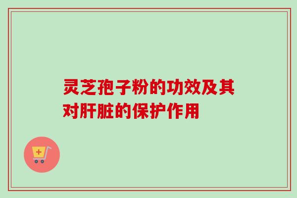 灵芝孢子粉的功效及其对肝脏的保护作用