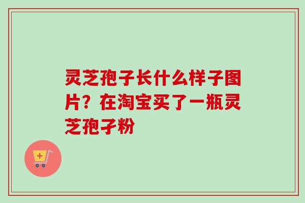 灵芝孢子长什么样子图片？在淘宝买了一瓶灵芝孢孑粉