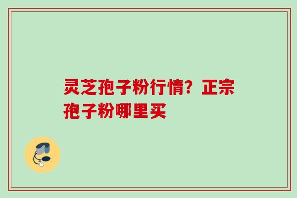 灵芝孢子粉行情？正宗孢子粉哪里买