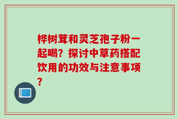 桦树茸和灵芝孢子粉一起喝？探讨中草药搭配饮用的功效与注意事项？