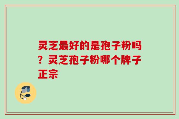 灵芝最好的是孢子粉吗？灵芝孢子粉哪个牌子正宗