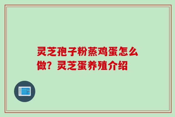 灵芝孢子粉蒸鸡蛋怎么做？灵芝蛋养殖介绍