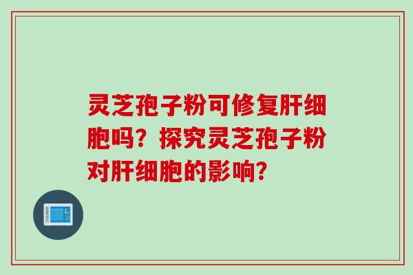 灵芝孢子粉可修复肝细胞吗？探究灵芝孢子粉对肝细胞的影响？