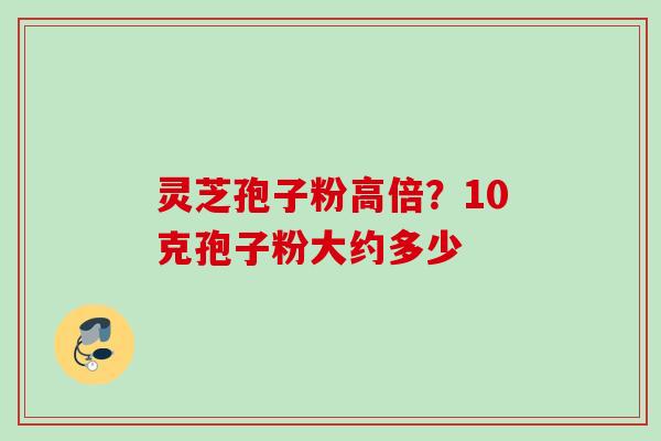 灵芝孢子粉高倍？10克孢子粉大约多少