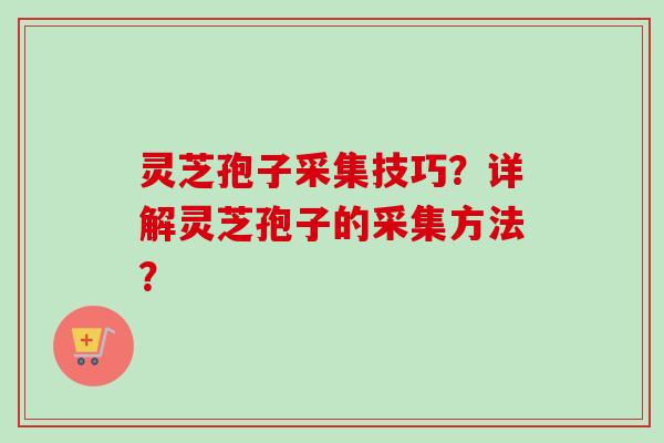 灵芝孢子采集技巧？详解灵芝孢子的采集方法？