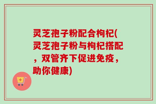 灵芝孢子粉配合枸杞(灵芝孢子粉与枸杞搭配，双管齐下促进免疫，助你健康)