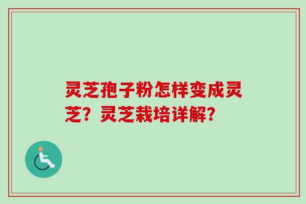 灵芝孢子粉怎样变成灵芝？灵芝栽培详解？