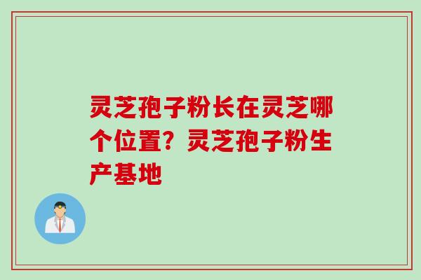 灵芝孢子粉长在灵芝哪个位置？灵芝孢子粉生产基地