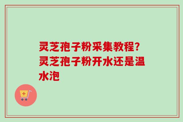 灵芝孢子粉采集教程？灵芝孢子粉开水还是温水泡