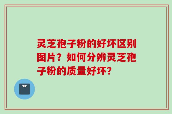 灵芝孢子粉的好坏区别图片？如何分辨灵芝孢子粉的质量好坏？