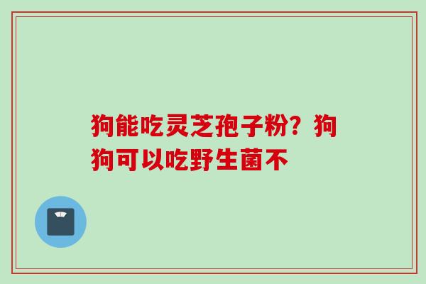 狗能吃灵芝孢子粉？狗狗可以吃野生菌不