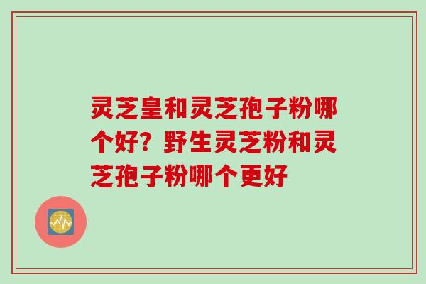 灵芝皇和灵芝孢子粉哪个好？野生灵芝粉和灵芝孢子粉哪个更好