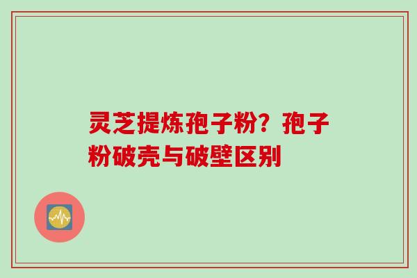 灵芝提炼孢子粉?孢子粉破壳与破壁区别 灵芝提炼孢子粉?孢子粉破壳与破壁区别