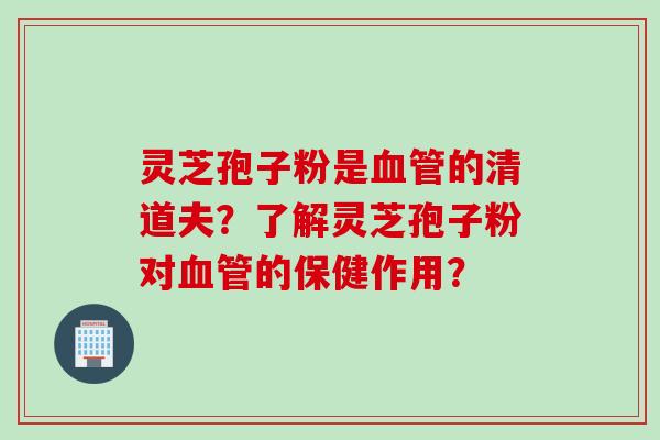 灵芝孢子粉是血管的清道夫？了解灵芝孢子粉对血管的保健作用？