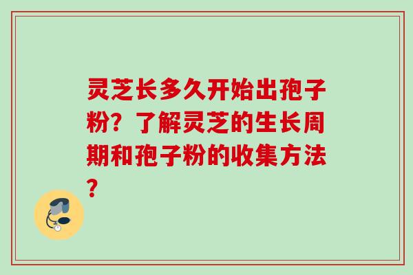灵芝长多久开始出孢子粉？了解灵芝的生长周期和孢子粉的收集方法？
