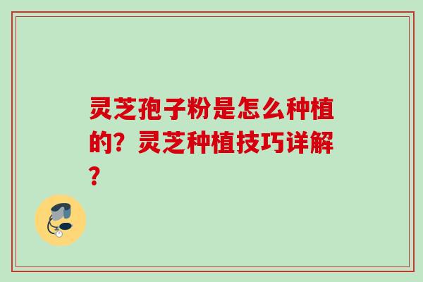 灵芝孢子粉是怎么种植的？灵芝种植技巧详解？