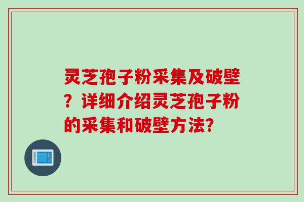 灵芝孢子粉采集及破壁？详细介绍灵芝孢子粉的采集和破壁方法？