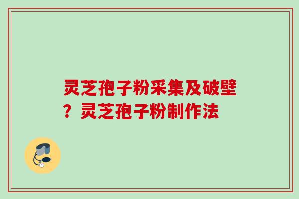 灵芝孢子粉采集及破壁？灵芝孢子粉制作法