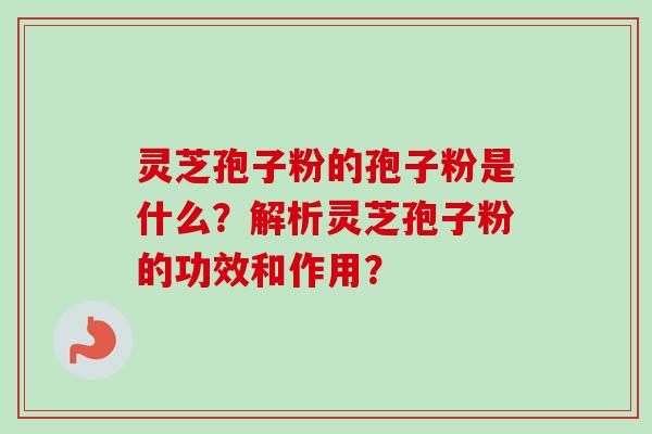 灵芝孢子粉的孢子粉是什么？解析灵芝孢子粉的功效和作用？