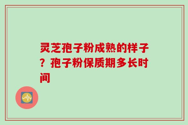 灵芝孢子粉成熟的样子？孢子粉保质期多长时间
