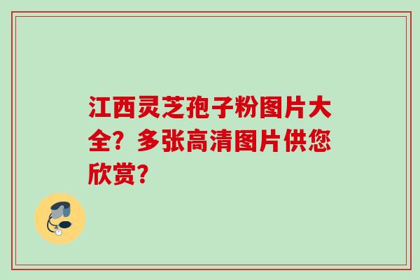 江西灵芝孢子粉图片大全？多张高清图片供您欣赏？