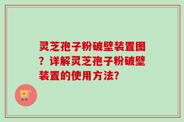 灵芝孢子粉破壁装置图？详解灵芝孢子粉破壁装置的使用方法？