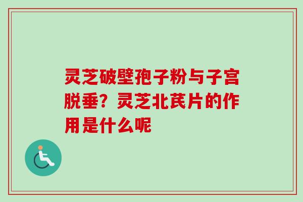灵芝破壁孢子粉与子宫脱垂？灵芝北芪片的作用是什么呢