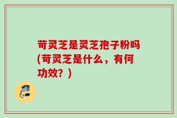 苛灵芝是灵芝孢子粉吗(苛灵芝是什么，有何功效？)
