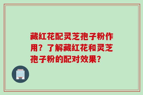 藏红花配灵芝孢子粉作用？了解藏红花和灵芝孢子粉的配对效果？