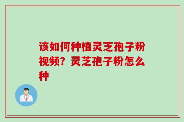 该如何种植灵芝孢子粉视频？灵芝孢子粉怎么种