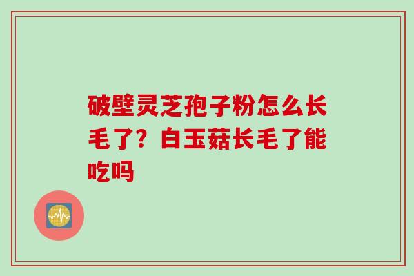 破壁灵芝孢子粉怎么长毛了？白玉菇长毛了能吃吗