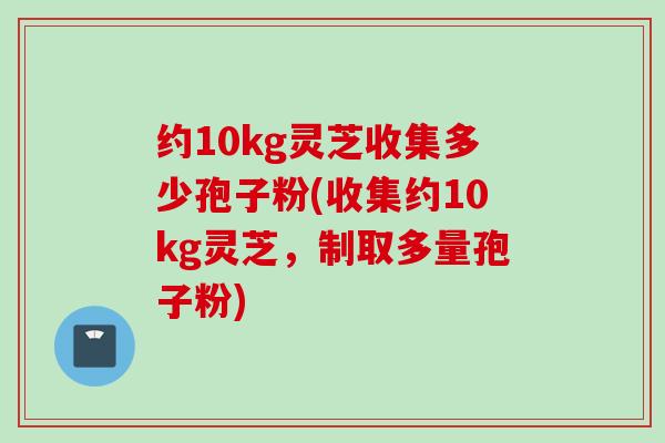 约10kg灵芝收集多少孢子粉(收集约10kg灵芝，制取多量孢子粉)