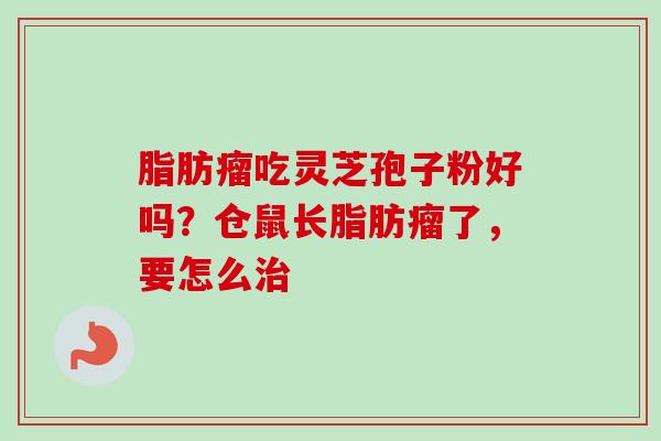 脂肪瘤吃灵芝孢子粉好吗？仓鼠长脂肪瘤了，要怎么治