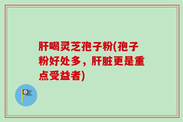 肝喝灵芝孢子粉(孢子粉好处多，肝脏更是重点受益者)