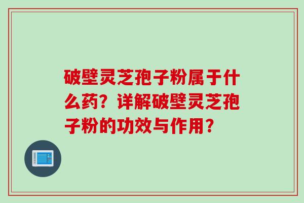 破壁灵芝孢子粉属于什么药？详解破壁灵芝孢子粉的功效与作用？