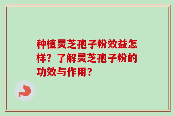 种植灵芝孢子粉效益怎样？了解灵芝孢子粉的功效与作用？