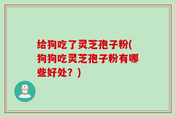 给狗吃了灵芝孢子粉(狗狗吃灵芝孢子粉有哪些好处？)