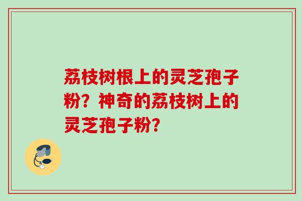 荔枝树根上的灵芝孢子粉？神奇的荔枝树上的灵芝孢子粉？