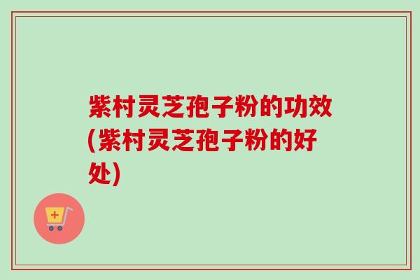 紫村灵芝孢子粉的功效(紫村灵芝孢子粉的好处)