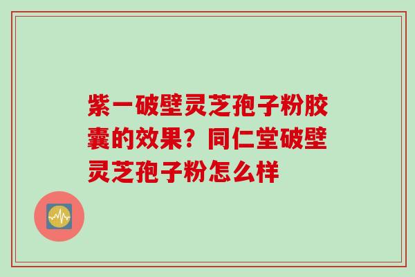 紫一破壁灵芝孢子粉胶囊的效果？同仁堂破壁灵芝孢子粉怎么样