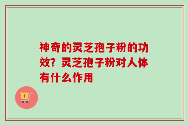 神奇的灵芝孢子粉的功效？灵芝孢子粉对人体有什么作用