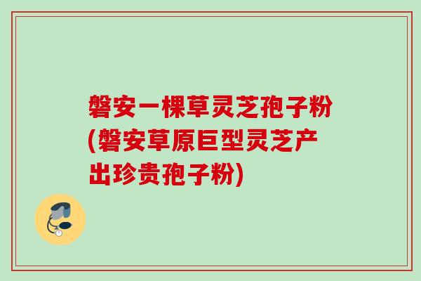 磐安一棵草灵芝孢子粉(磐安草原巨型灵芝产出珍贵孢子粉)