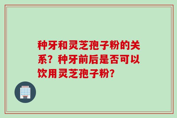 种牙和灵芝孢子粉的关系？种牙前后是否可以饮用灵芝孢子粉？