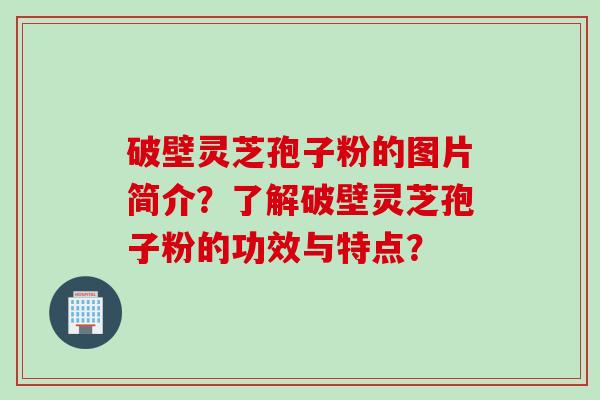 破壁灵芝孢子粉的图片简介？了解破壁灵芝孢子粉的功效与特点？