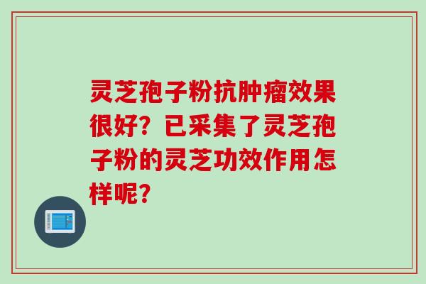 灵芝孢子粉抗肿瘤效果很好？已采集了灵芝孢子粉的灵芝功效作用怎样呢？